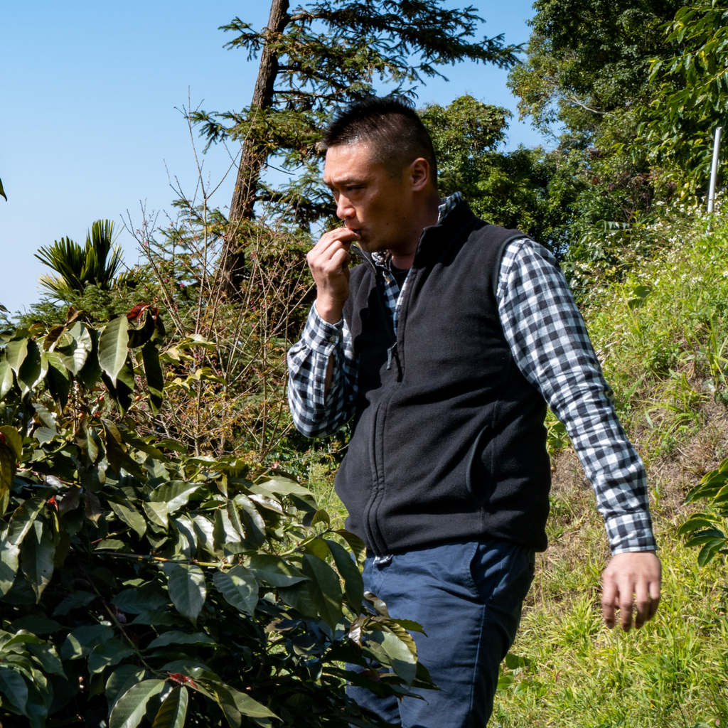 嘉義 阿里山鄉 卓武山咖啡農場 特殊處理法套組